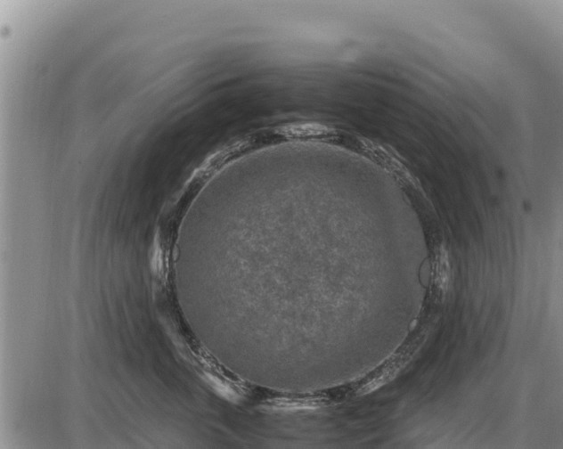 X0000087420763200704271737