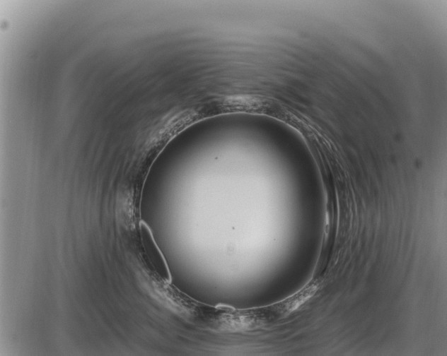 X0000087420764200704271737