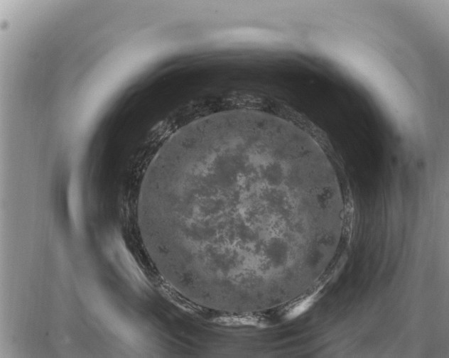 X0000087420765200704271737