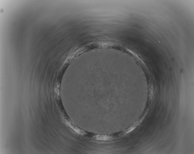 X0000087420766200704271737