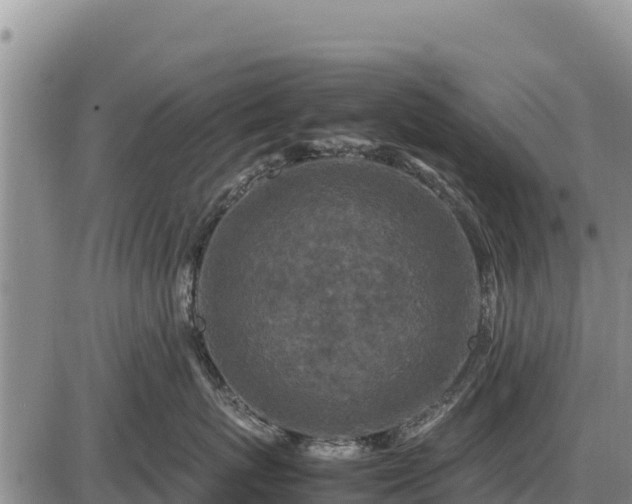 X0000087420767200704271737