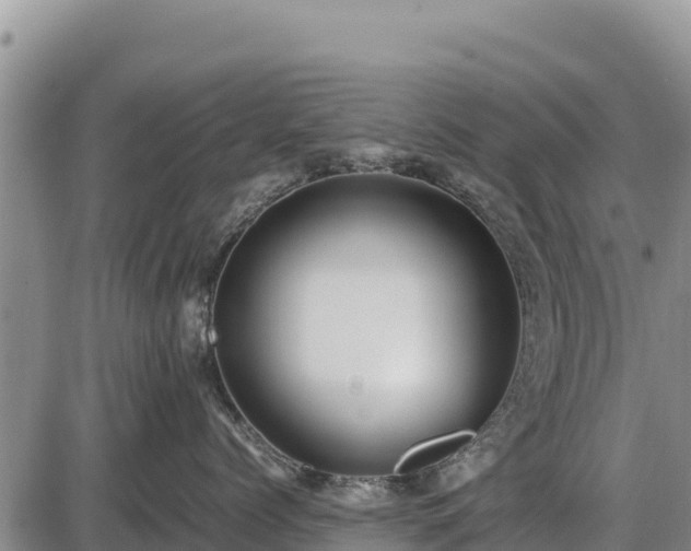 X0000087420768200704271737