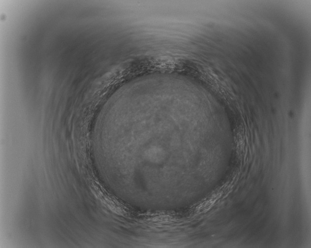 X0000087420769200704271736