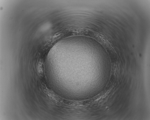 X0000087420770200704271736