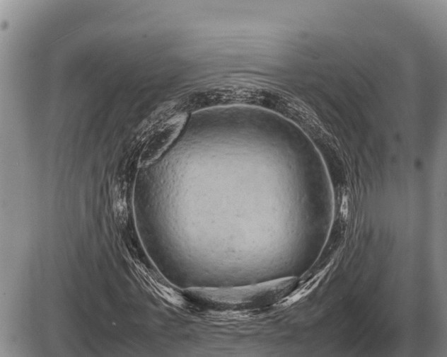 X0000087420771200704271736