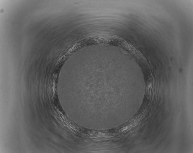 X0000087420772200704271736