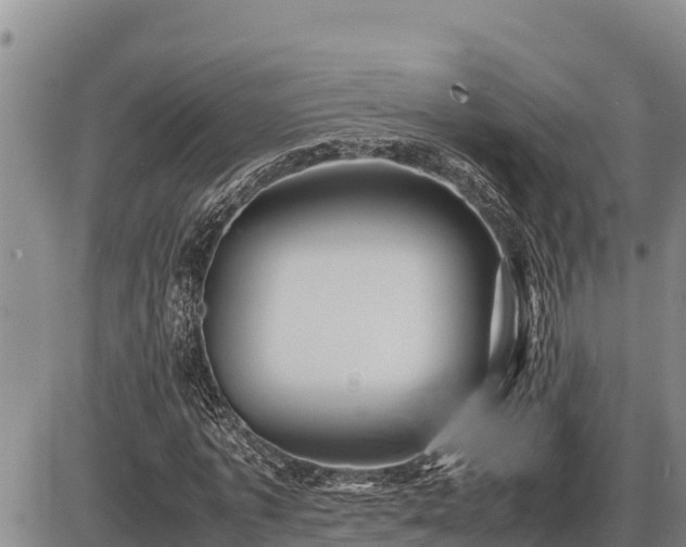 X0000087420773200704271736