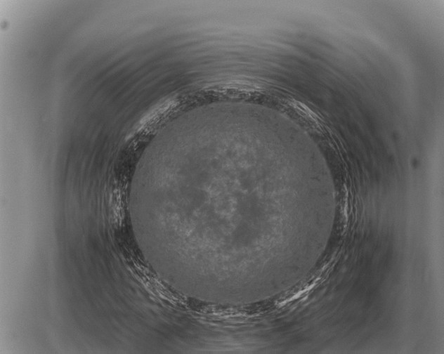 X0000087420774200704271736