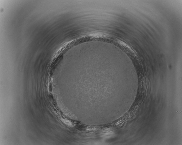 X0000087420776200704271736