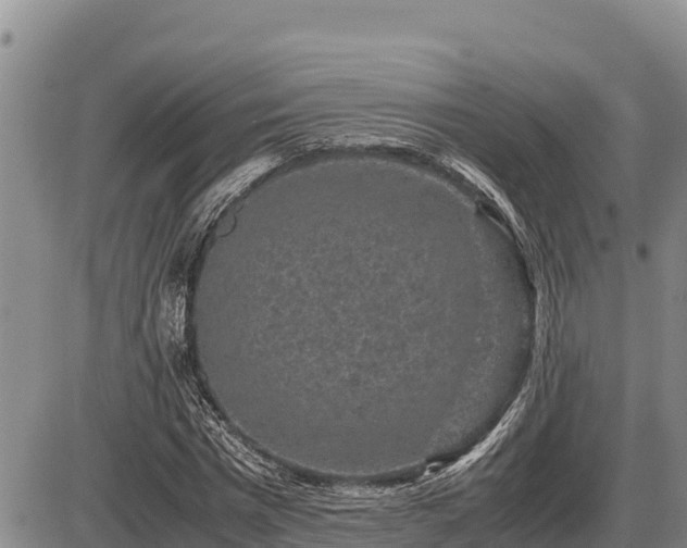 X0000087420777200704271736