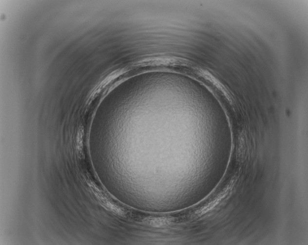 X0000087420778200704271736