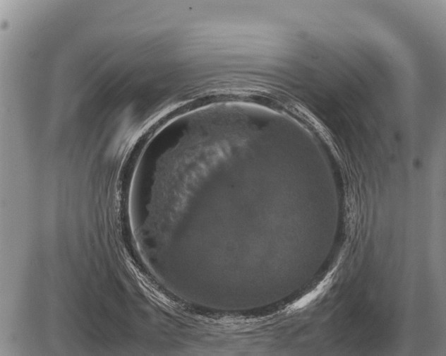 X0000087420779200704271736