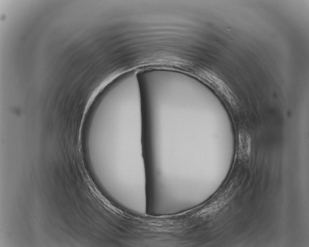 X0000087420780200704271736