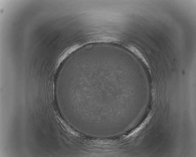 X0000087420781200704271736