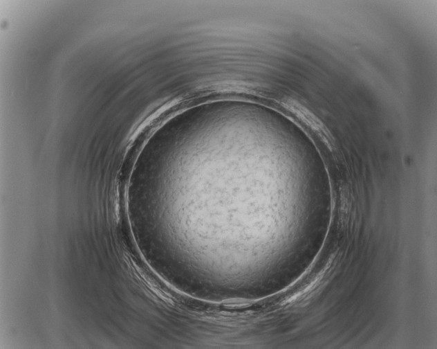 X0000087420782200704271736