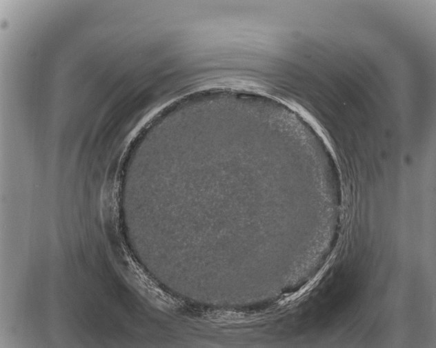 X0000087420783200704271736