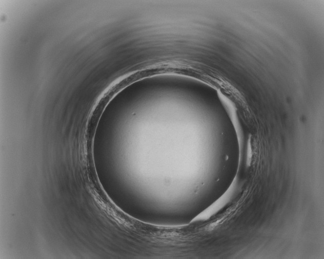 X0000087420784200704271736