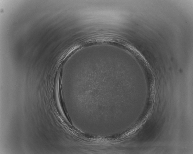 X0000087420785200704271736