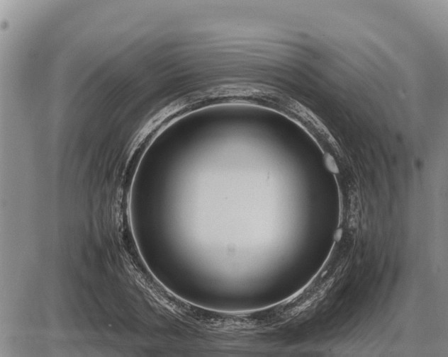 X0000087420786200704271736