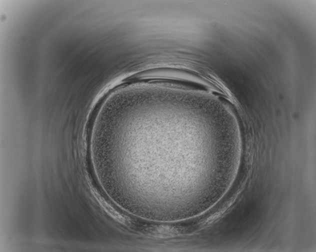 X0000087420787200704271736