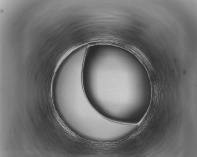 X0000087420788200704271736