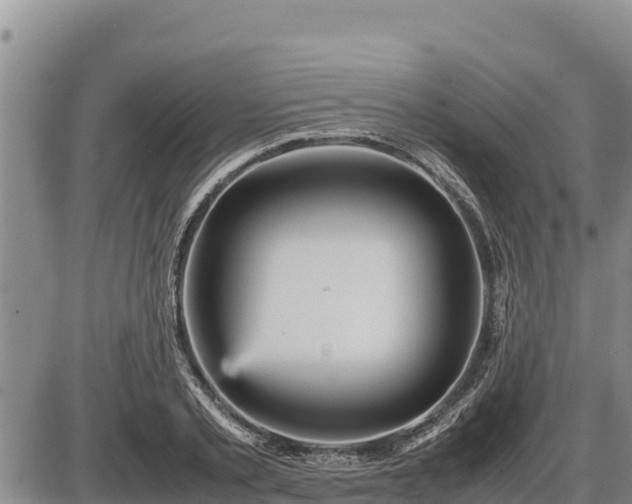 X0000087420789200704271736