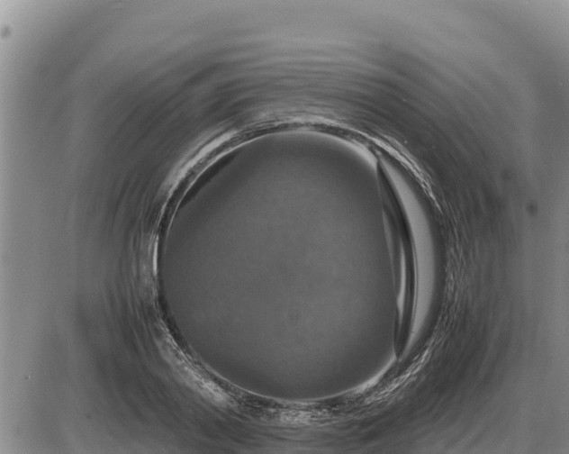 X0000087420790200704271736