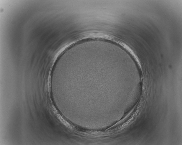 X0000087420791200704271736