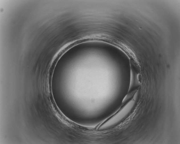 X0000087420792200704271736