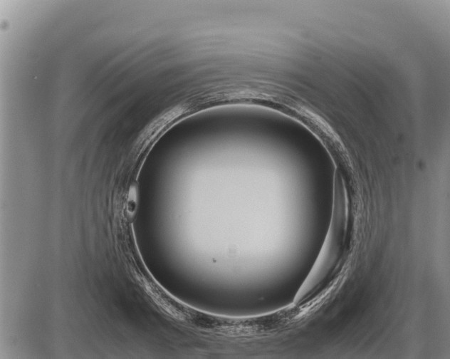 X0000087420793200704271736