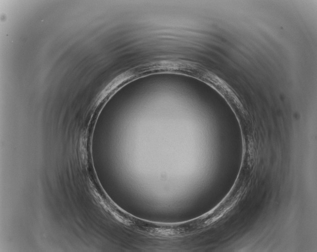 X0000087420794200704271736