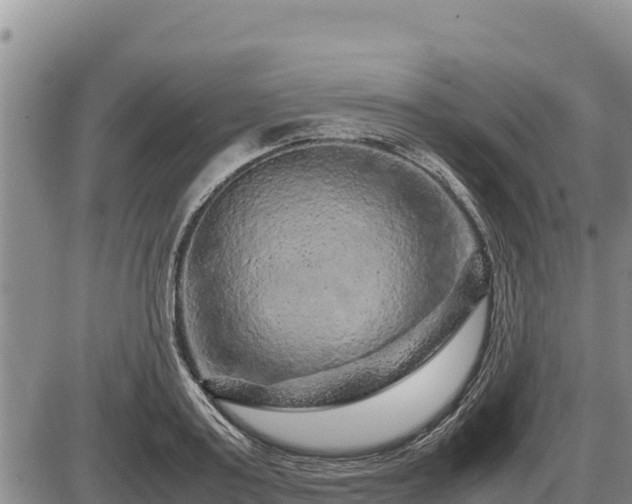 X0000087420795200704271736