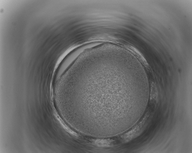 X0000087420796200704271736