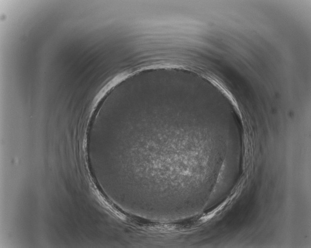 X0000087420797200704271736