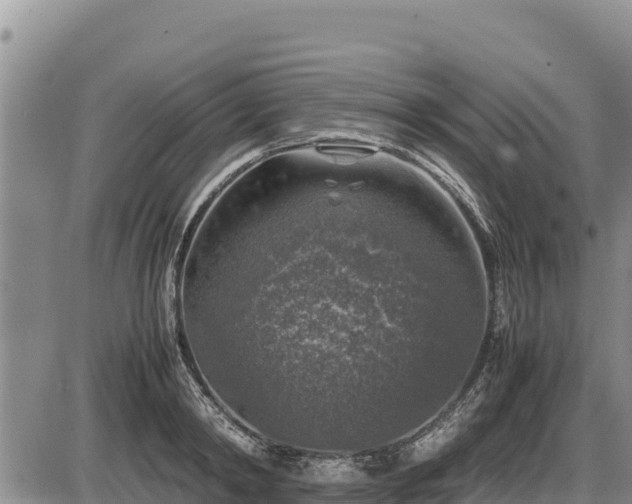 X0000087420798200704271736