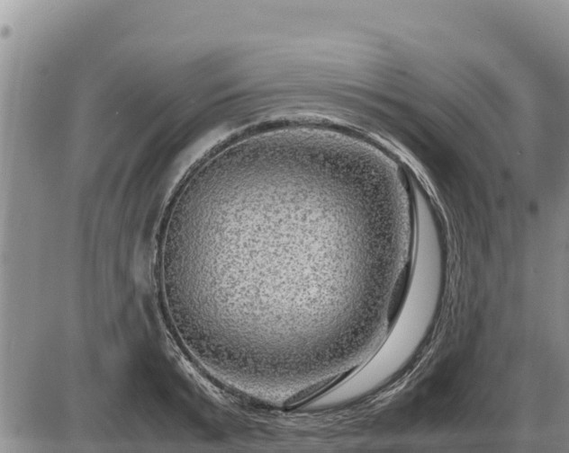 X0000087420799200704271736