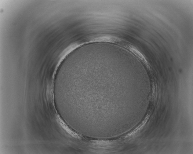 X0000087420800200704271736