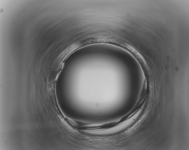 X0000087420801200704271736