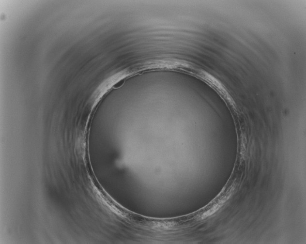 X0000087420802200704271736