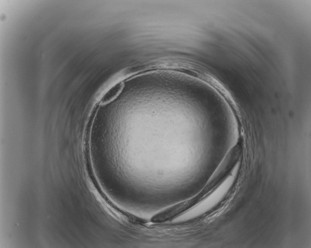 X0000087420803200704271736