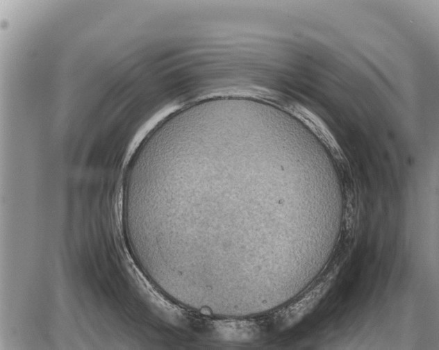 X0000087420804200704271736