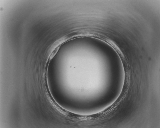 X0000087420805200704271736