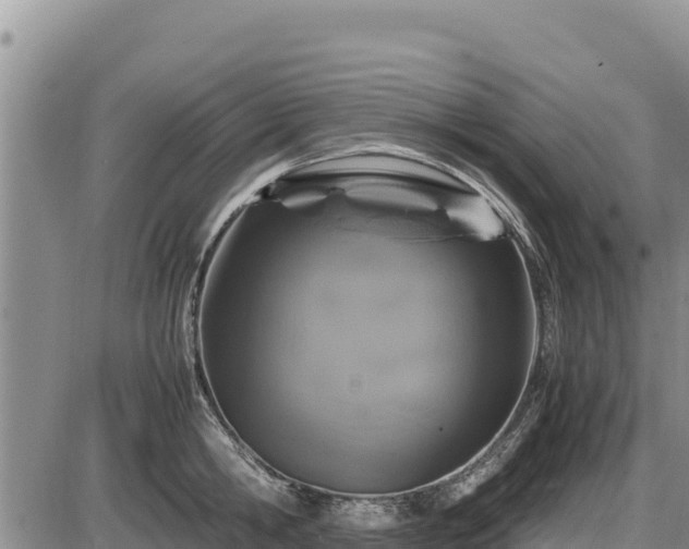 X0000087420806200704271736