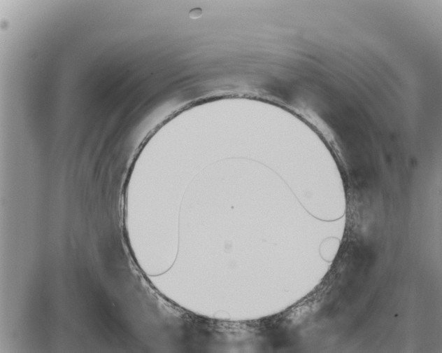 X0000087420807200704271736