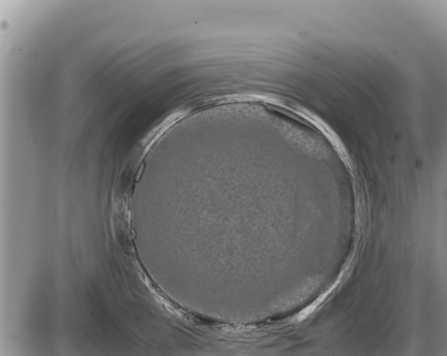 X0000087420809200704271736