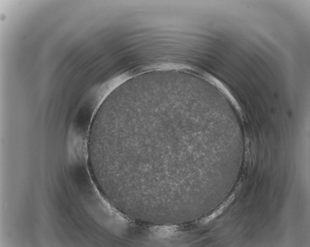 X0000087420810200704271735