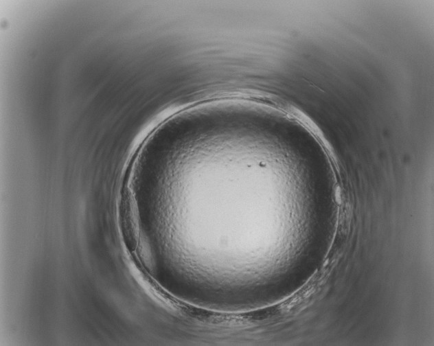 X0000087420811200704271735