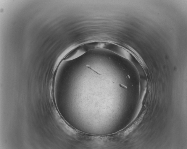 X0000087420812200704271735