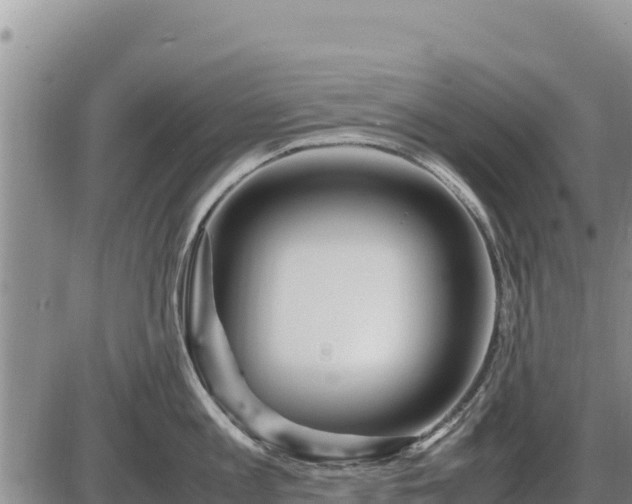 X0000087420813200704271735