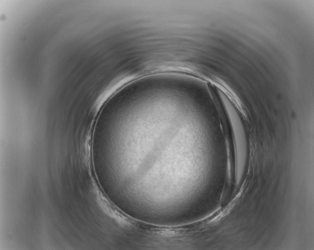 X0000087420814200704271735